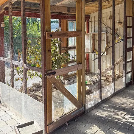 3 Bedroom Pet Friendly In